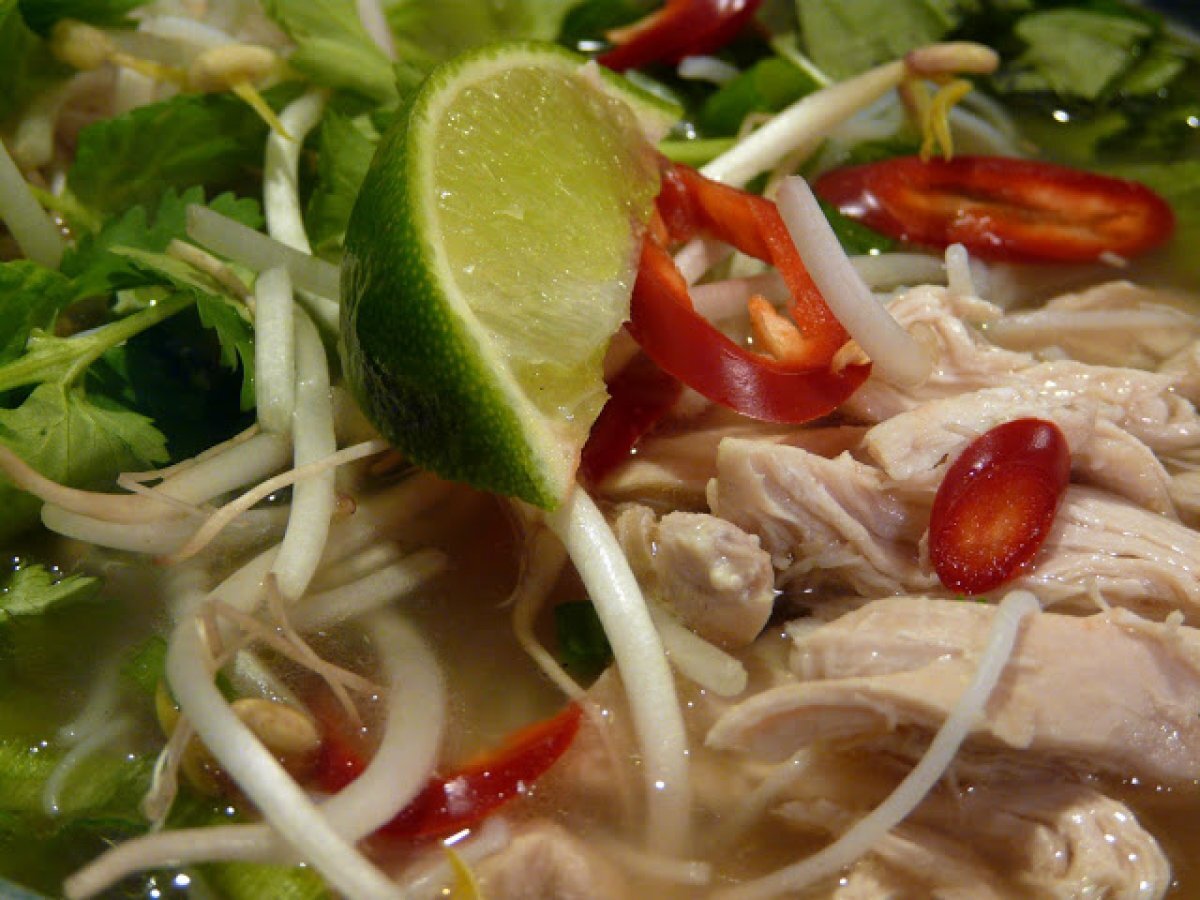 Vietnamese Chicken Pho - Weekend Blog Showcase